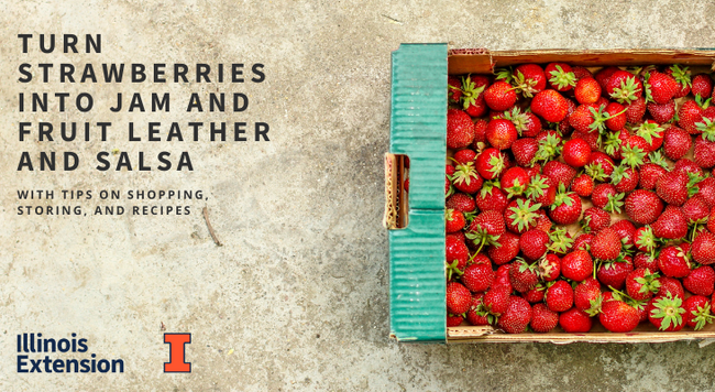 Turn strawberries into jam and fruit leather and salsa